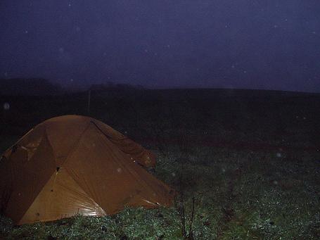 Near Appledore Farm